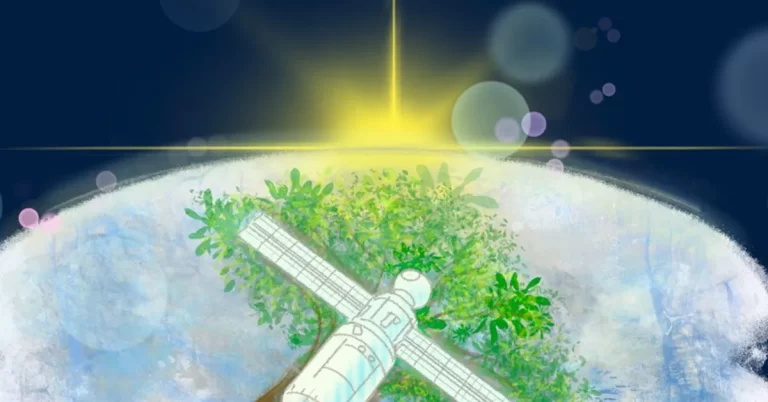 First Wooden Satellite LignoSat Launched Into Space: A New Era for Timber Technology