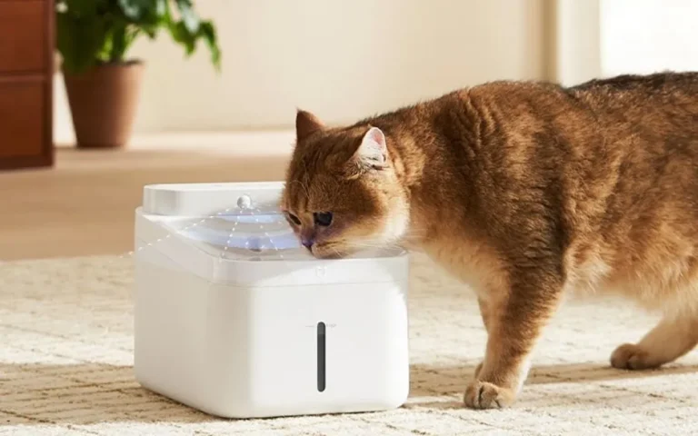 Xiaomi Launches Mijia Smart Pet Water Dispenser 2: A Convenient Solution for Pet Hydration
